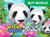 Wild Giant Panda thumbnail